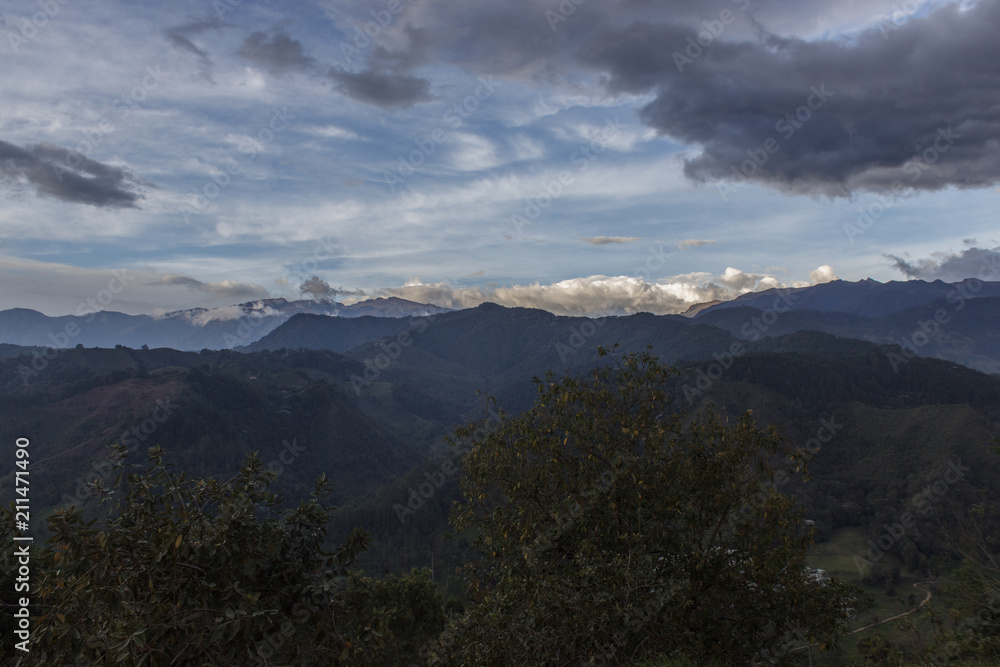 Obraz premium Valle de Cocora, colombia