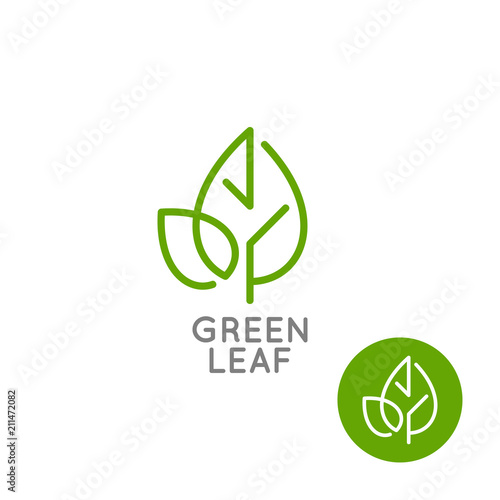 Leaf logo concept. Green leaf line on white background