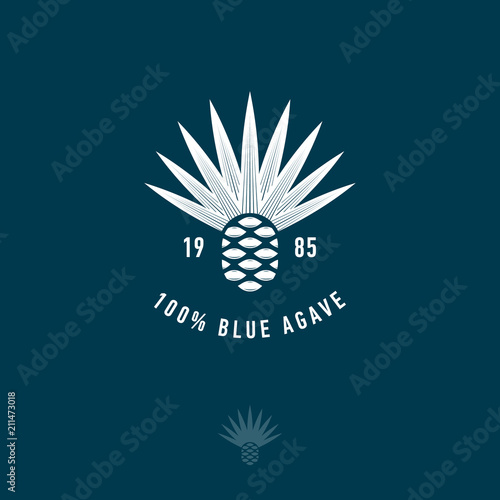 Blue agave icon. Tequila or mescal logo. Emblem for the label. Engraving style Agave icon on a dark background.