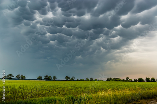 Mammatus clouds fill the sky in czech countryside photo