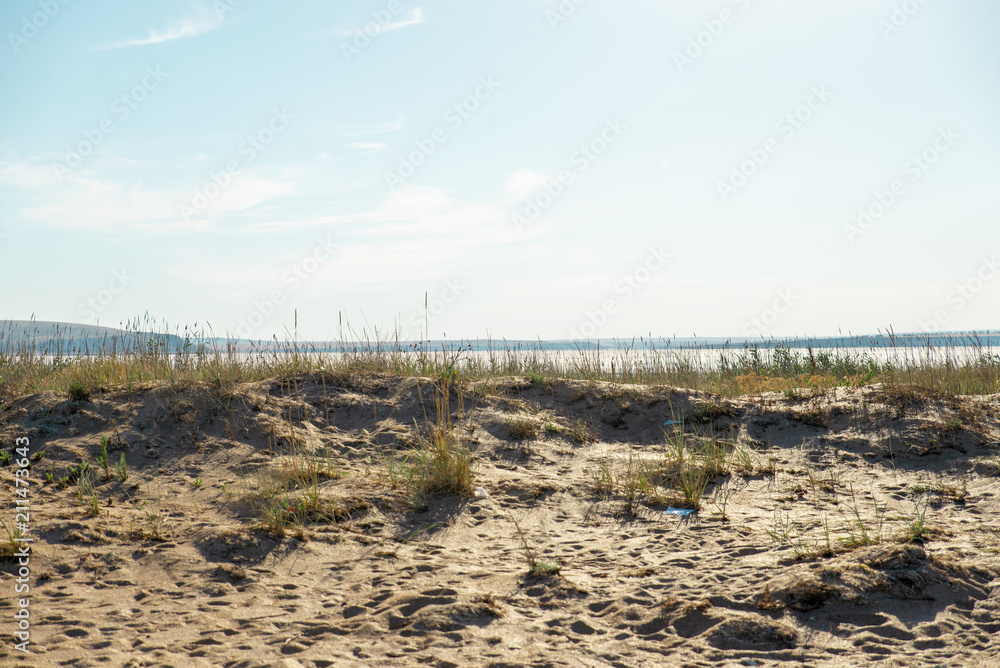 landscape of grass against the sea landscape of grass against the sea