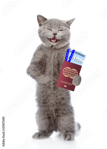 Happy cat holds airline tickets and passport. isolated on white background