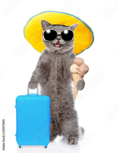 Happy cat in summer hat holds suitcase and ice cream. isolated on white background