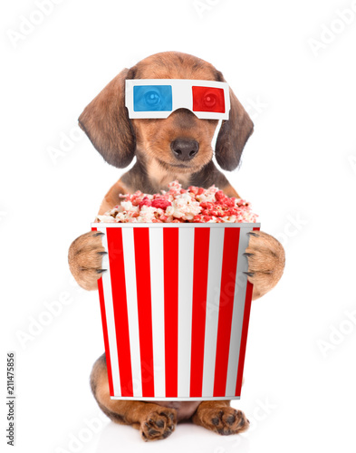 dachshund puppy in the 3d glasses with popcorn basket. isolated on white background