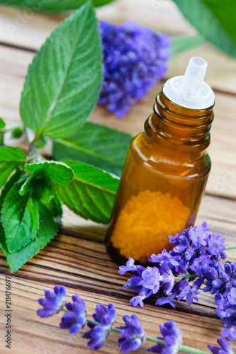 Fototapeta Naklejka Na Ścianę i Meble -  Homeopathy and healing herbs   -   lavender and peppermint