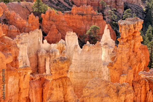 Bryce canyon. Fantastic colorful rock landscape. Morning fairy light. Utah, USA.