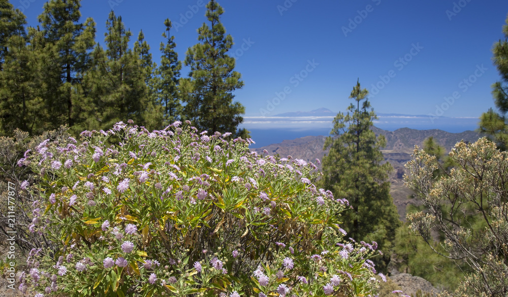 Gran Canaria, view from Las Cumbres Gran Canaria, view from Las Cumbres