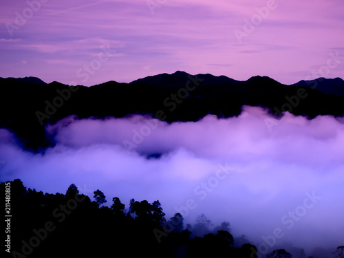 beautiful sea of mist in the morning at Panoenthung Scenic Point ,Thailand photo