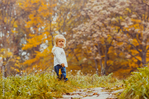 Baby in the autumn park © oksix