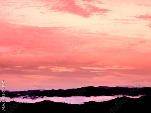 beautiful sea of mist in the morning at Panoenthung Scenic Point ,Thailand photo