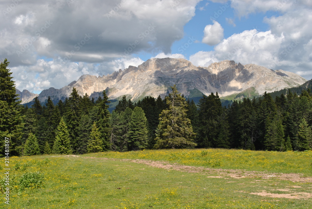 Paesaggio Alpino, Dolomiti, Latemar