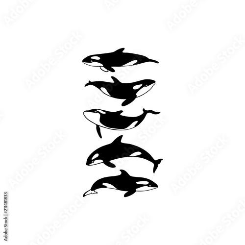 Hand drawn killer whales