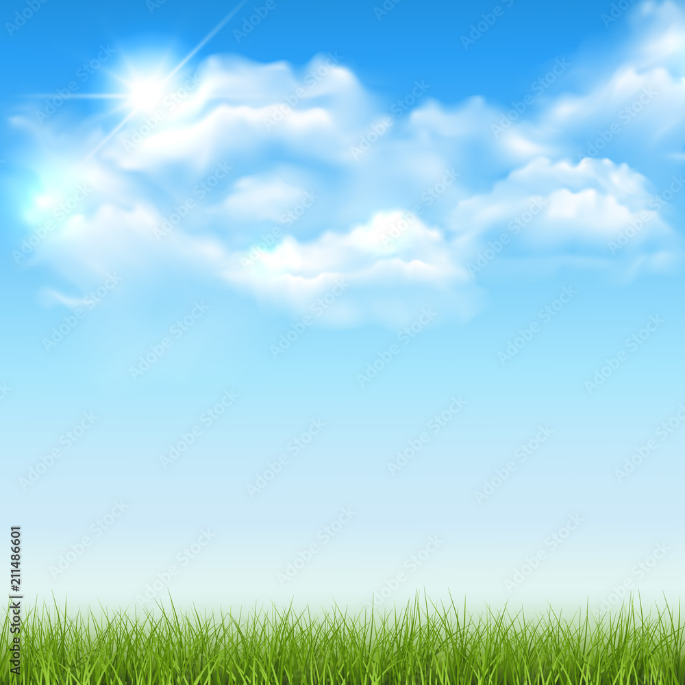 Beautiful vector sunny lawn or meadow with fluffy clouds and sun in the sky - with spae for your text or design