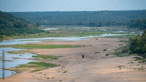Einsamer Elefant an einer Flusslandschaft in einem Nationalpark in Südafrika