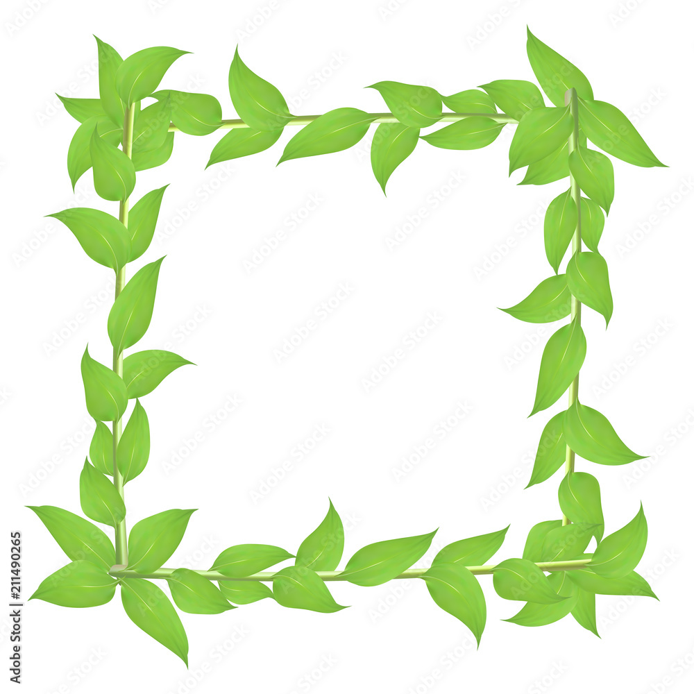 Deciduous frame with stems and green leaves Deciduous frame with stems and green leaves