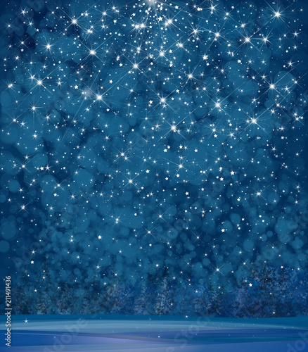 Vector winter wonderland background. Starry night sky and forest background.