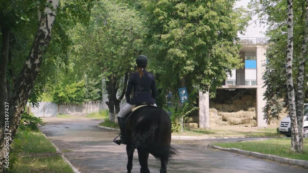 young girl riding a strong brown horse outdoors going on the road to the tournament. dressage arena at dawn. A woman with a dress uniform of a rider. green trees in the background 4k young girl riding a strong brown horse outdoors going on the road to the tournament. dressage arena at dawn. A woman with a dress uniform of a rider. green trees in the background 4k