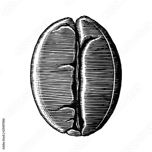 Coffee bean hand drawing vintage clip art isolated on white background