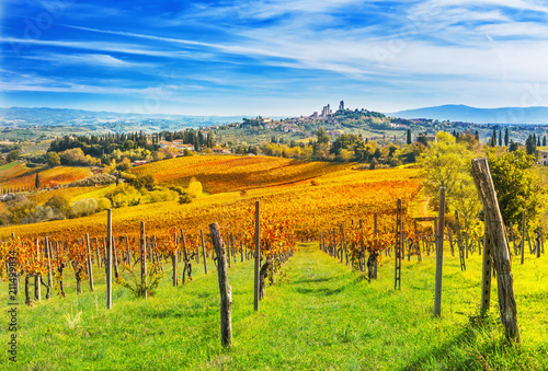 Panorama of San Gimignano city and vineyards around this Italian beautiful city (UNESCO heritage), Italy