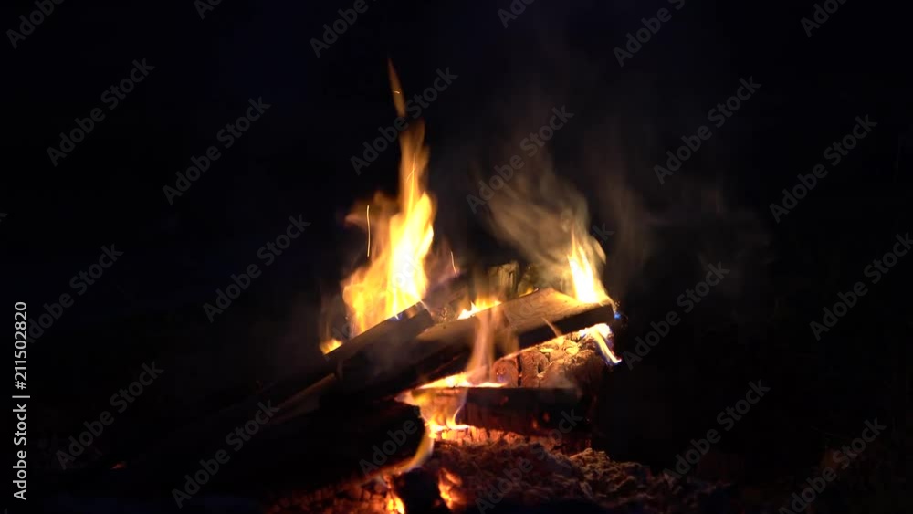 Marshmallow roasting over campfire Marshmallow roasting over campfire