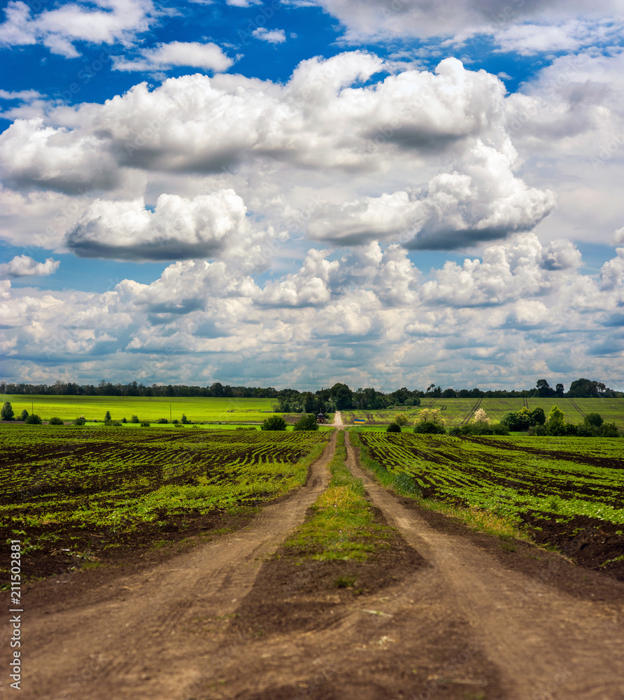 Summer view with dirt road on fields