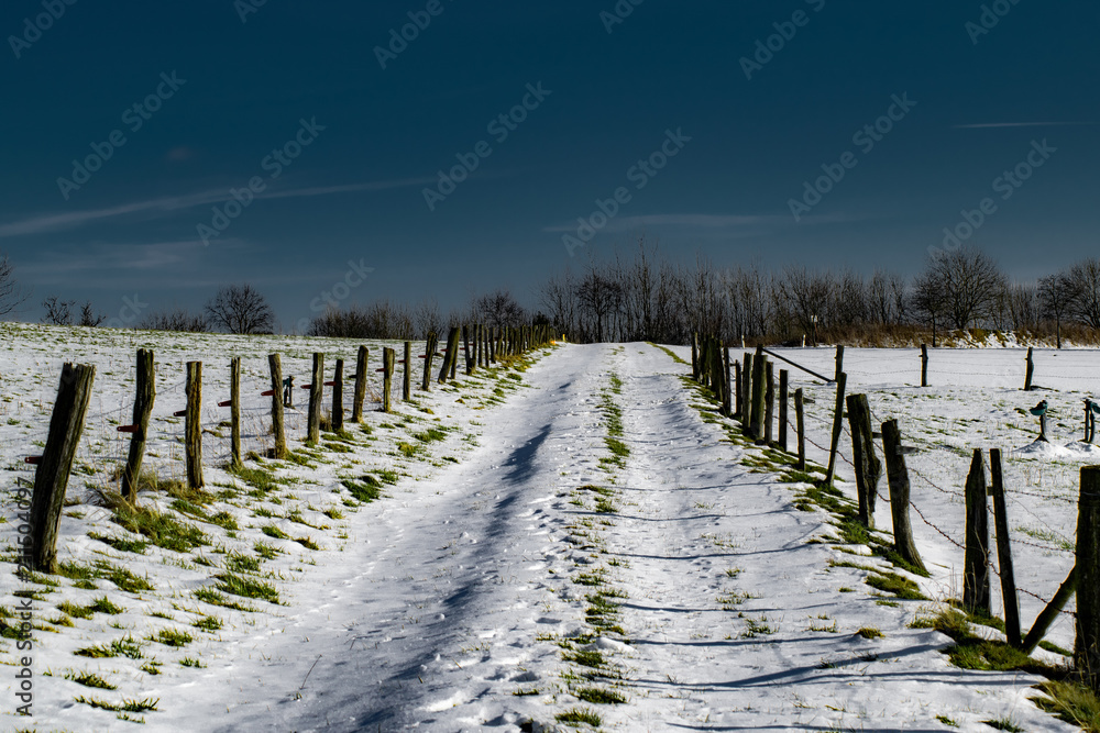 Feldweg Winter