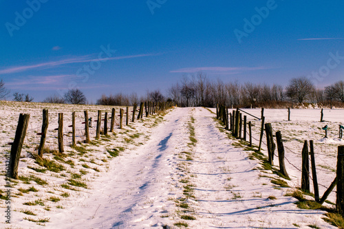 Fototapeta Naklejka Na Ścianę i Meble -  Feldweg Winter