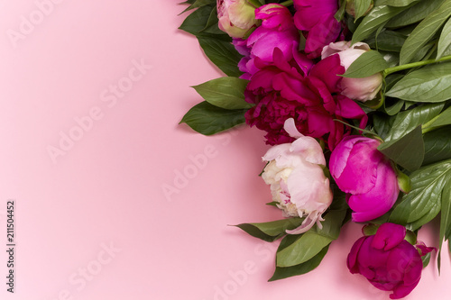 Peony flowers isolated on pink paper background.