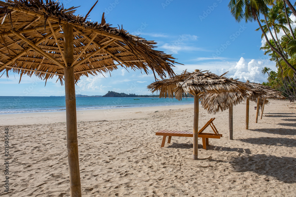Palm leaves umbrella line up on beach in sunshine day with coconut trees background