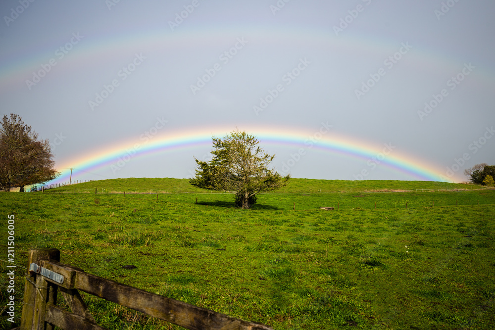 Naklejka premium Double Bow