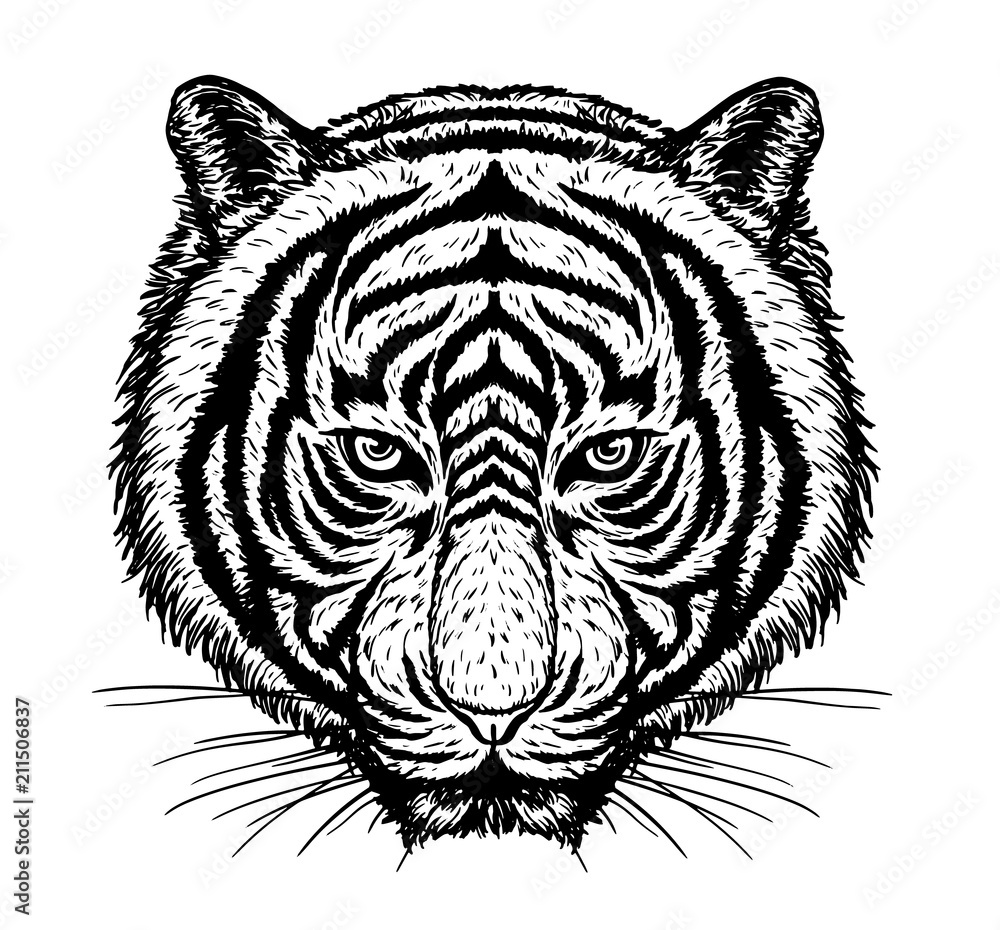 Tiger vector drawing on white  tattoo art highly detailed  in line art style. Stock Vector | Adobe Stock