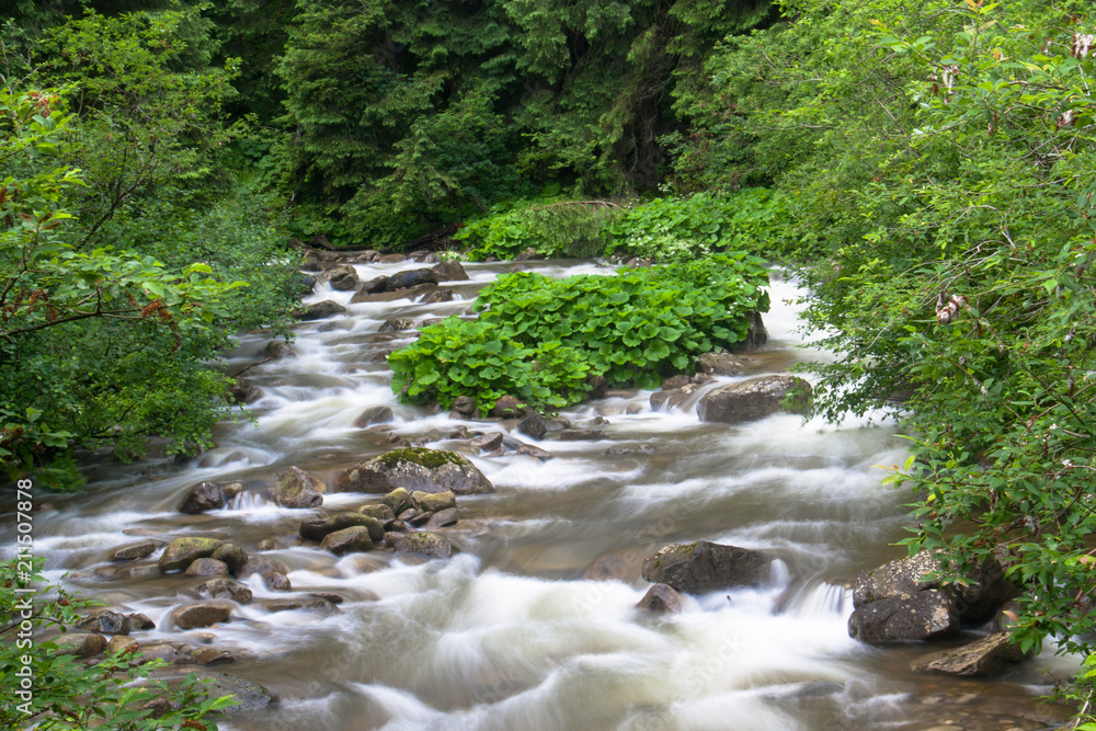 Fototapeta premium Fast mountain river on long exposure in summer