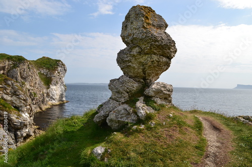 Causeway Coastal - Rock Sculpture