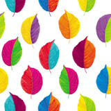 Colorful leaves vector seamless background