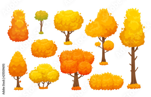 Colorful autumn trees. Cartoon yellow fall tree and autumnal garden bush for landscape background vector set