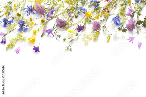 summer flowers isolated on white background