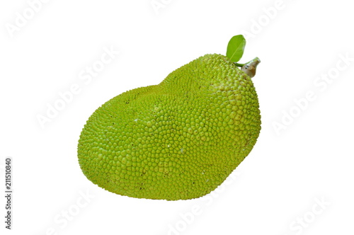 jack fruit tropical fruit on white background