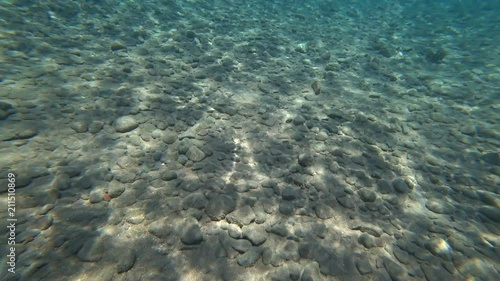 Wallpaper Mural Nurkowanie w Egipcie Torontodigital.ca