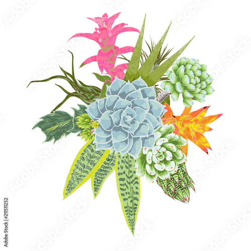Elegant ikebana bouquet watercolor imitation of succulent, rose, cactus , air plant, Bromelia, aloe, vera, Houseplant set. Wedding pastel flowers. All elements are made of real plants and editable.
