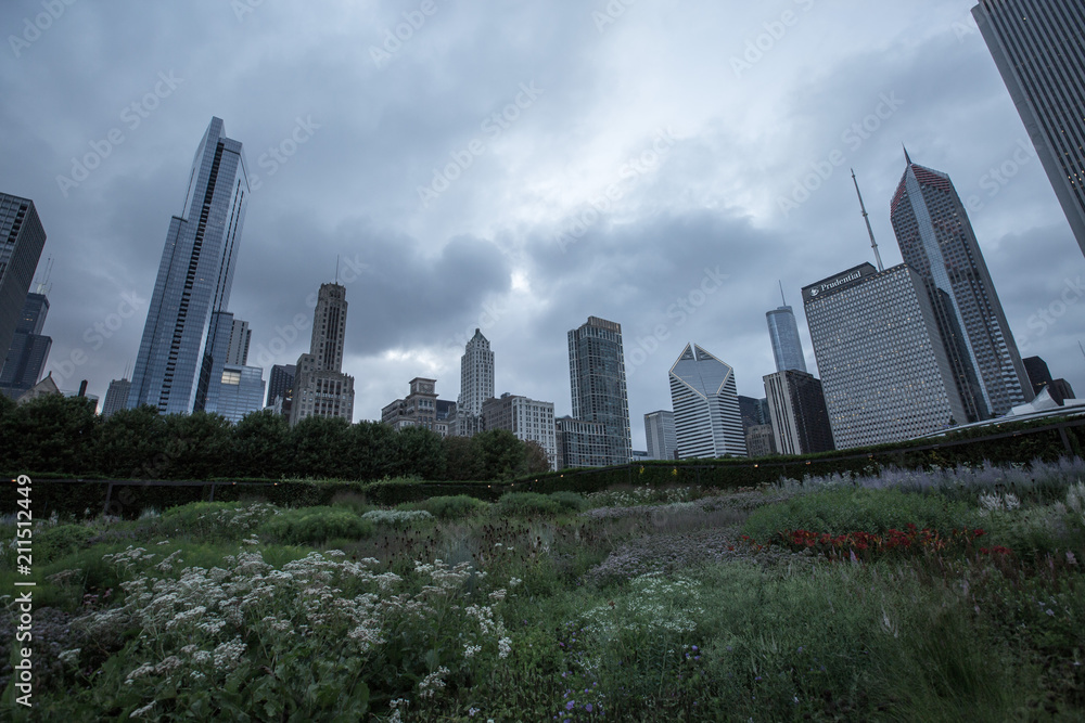 Obraz premium Chicago Skyline