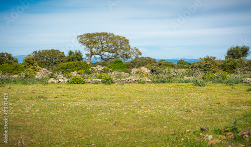 Canvas Print Giara di Gesturi plateau, Gesturi, Sardinia, Italy