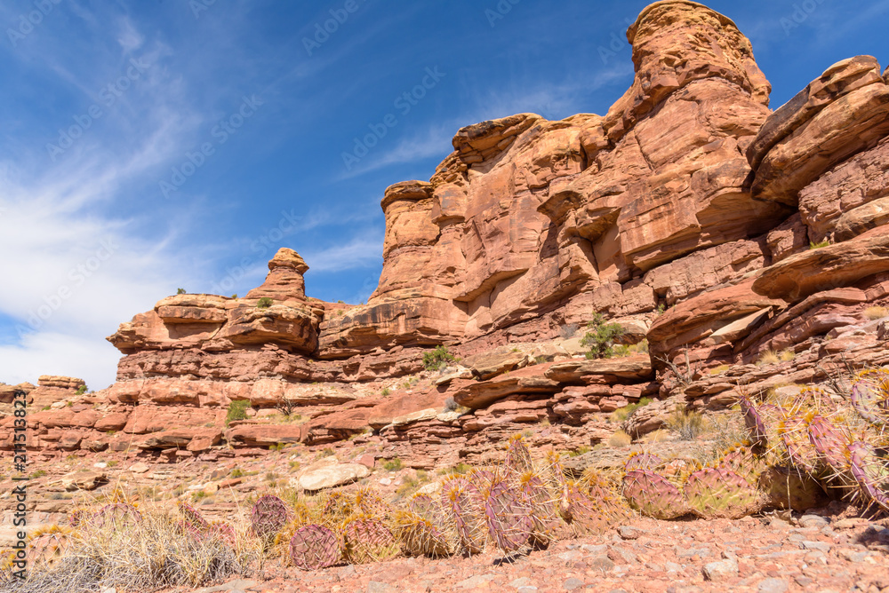 Fototapeta premium Red Rock Formations Near Canyonlands National Park, Utah.