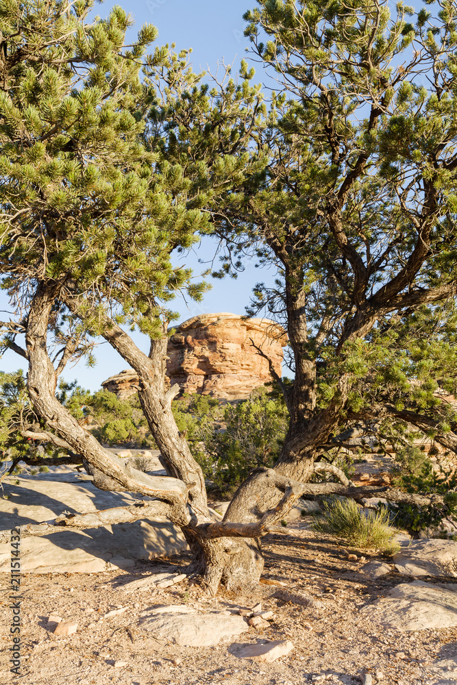 Red Rock Formations Near Canyonlands National Park, Utah. Red Rock Formations Near Canyonlands National Park, Utah.
