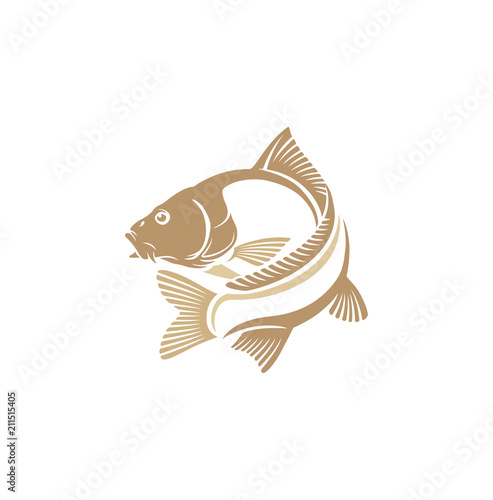 carp fish