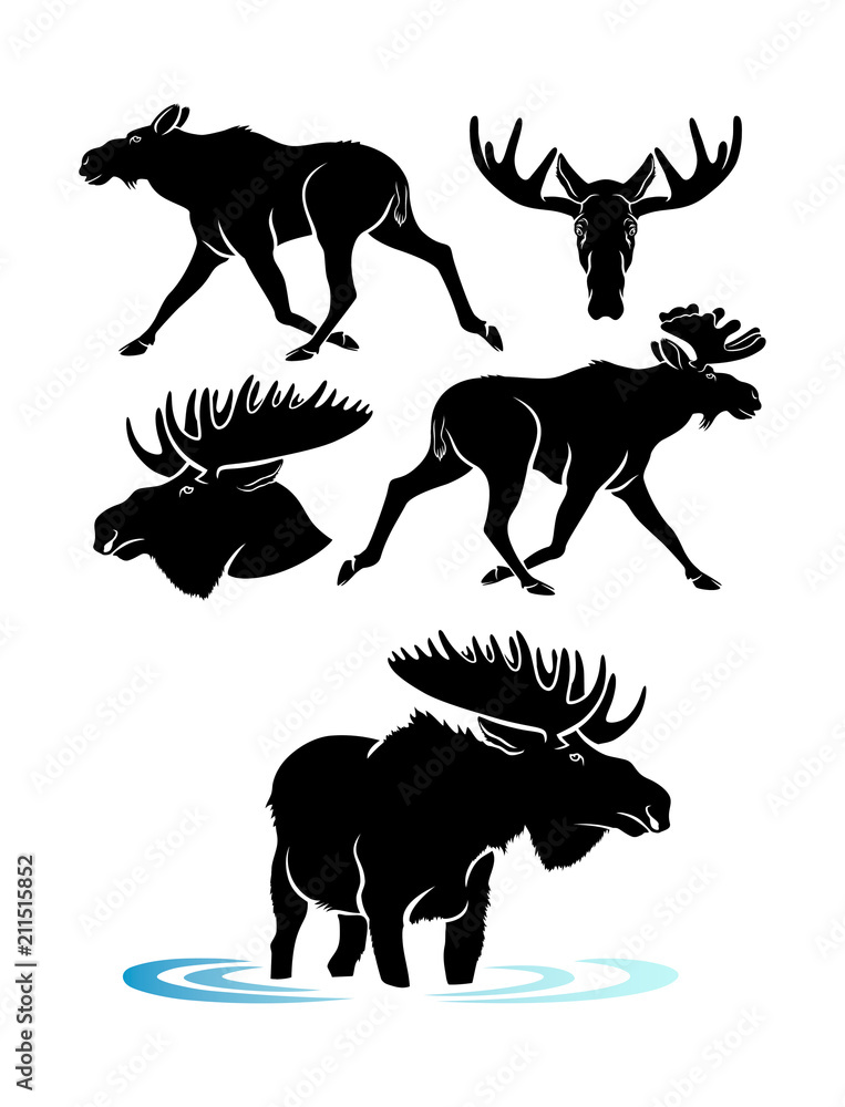 Fototapeta premium elk silhouette