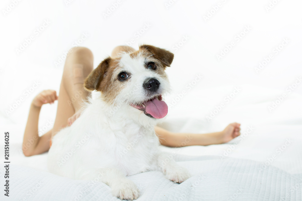 HAPPY AND CUTE  DOG  RESTING IN BED WITH ITS LITTLE CHILD OWNER ISOLATED. WITH COPY SPACE.