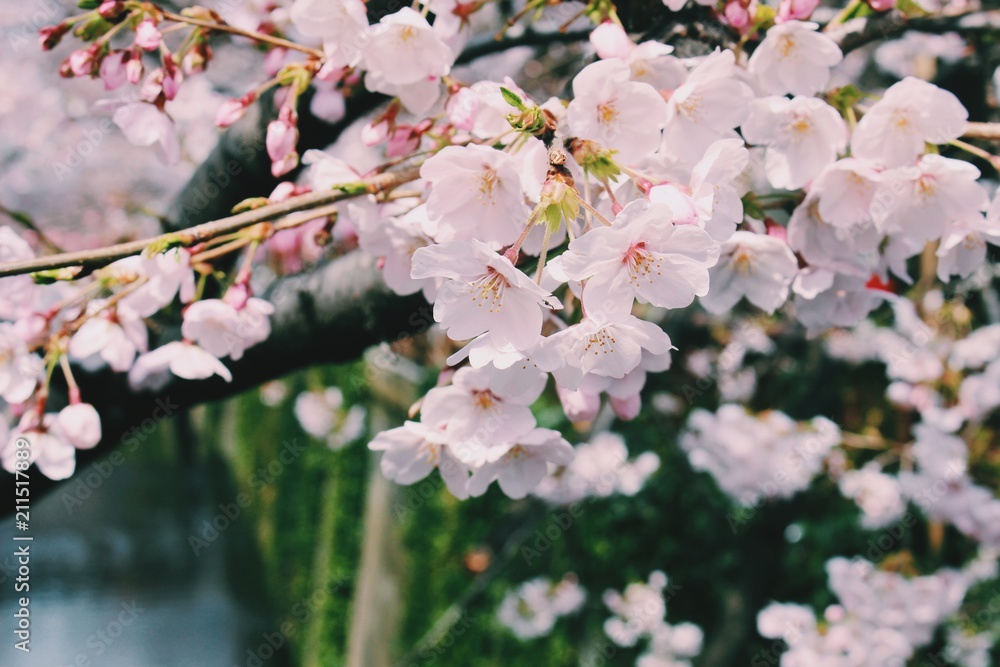 Obraz premium Processed with VSCO with c1 preset