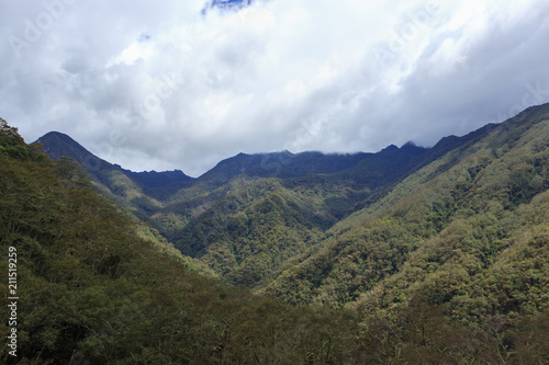 Valle de Cocora, salento colombia © Mira