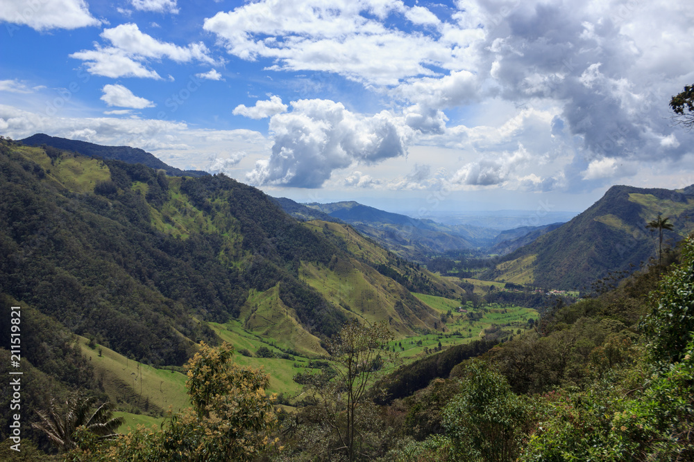 Valle de Cocora, salento colombia
