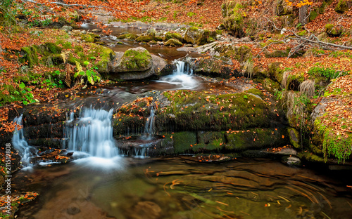 Waterfall in the forest in ...